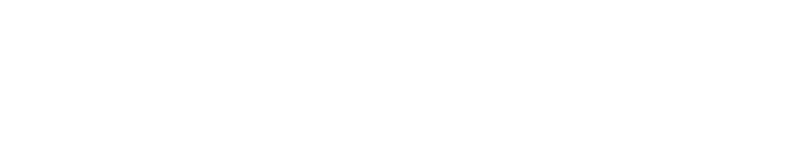 JET SKI