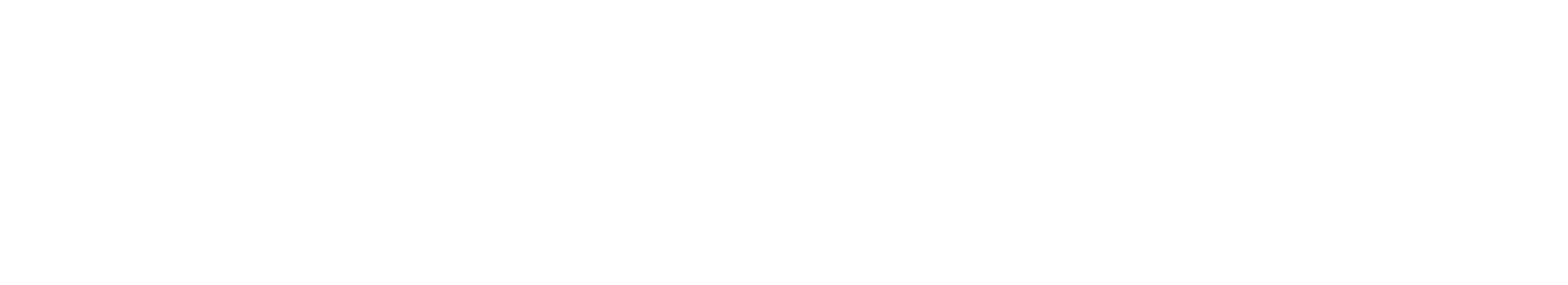 VERSYS