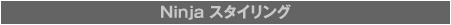 1. Ninja スタイリング