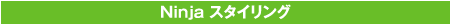 1. ライディングエキサイトメント