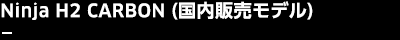 Ninja H2 CARBON（国内販売モデル）