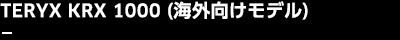 TERYX KRX 1000（海外向けモデル）